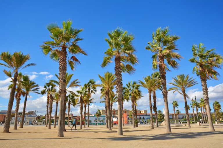 One of the best beaches in Valencia