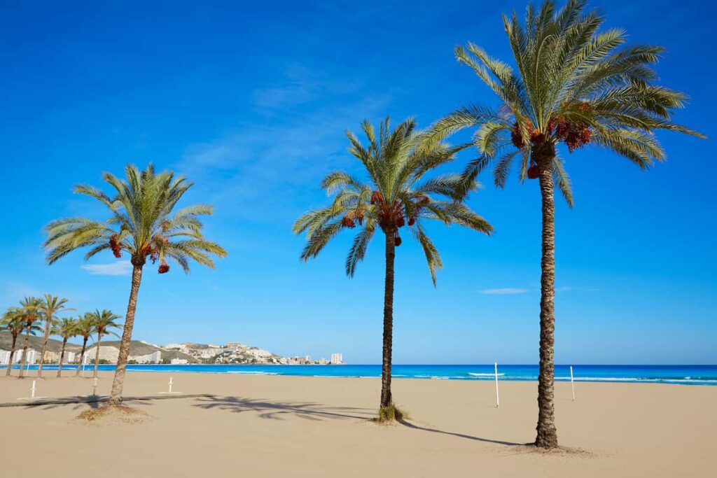 beach during the hottest month in Valencia