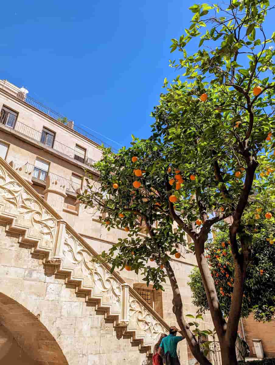 Ultimate Guide to the Weather in Valencia (Month by Month)