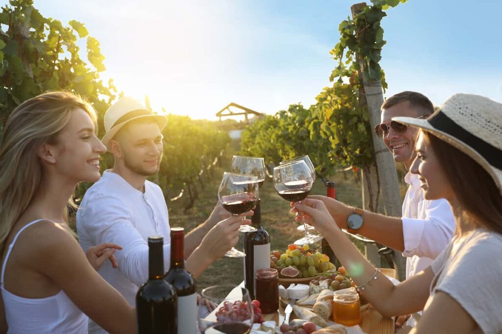 Spend time with your Friends in vineyard when you have four days in Valencia.