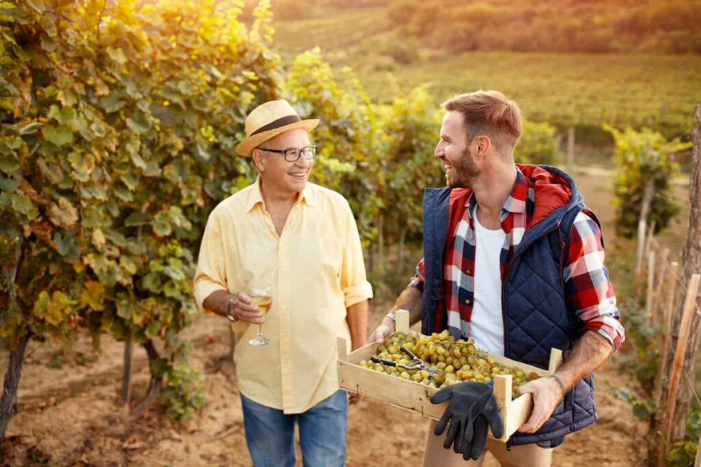 tourists that have seven days in Valencia visited Requena vineyards