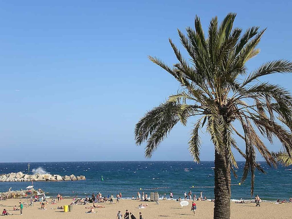nice weather in barcelona beaches.