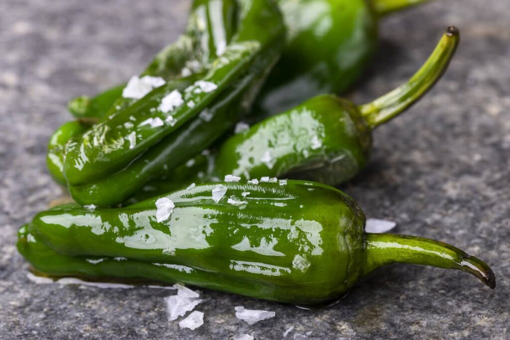 Pimientos de Padrón is one of the best tapa in barcelona food