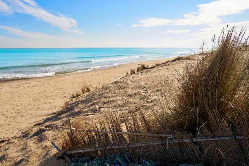 a beach in El Saler one of the best areas to stay in Valencia near a beach