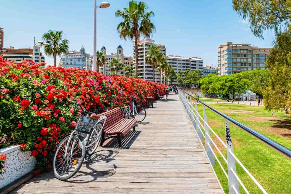 Bike in Turia Gardens. Biking is one of the best activities to do when you have one day in Valencia.