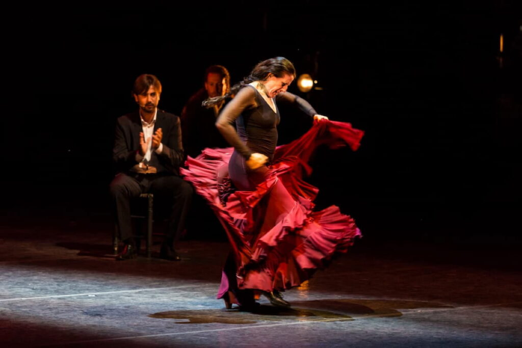a dancer in Flamenco show