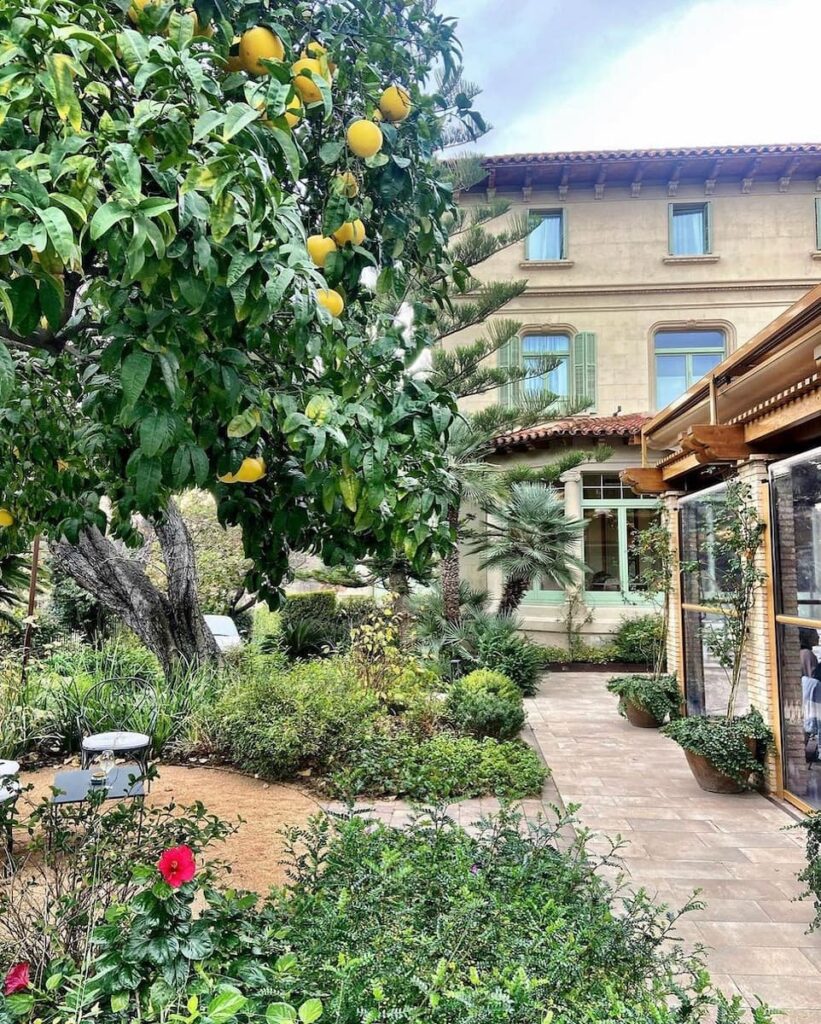 garden area of Hotel Boutique Mirlo Barcelona one of the best romantic hotels for couples in Barcelona