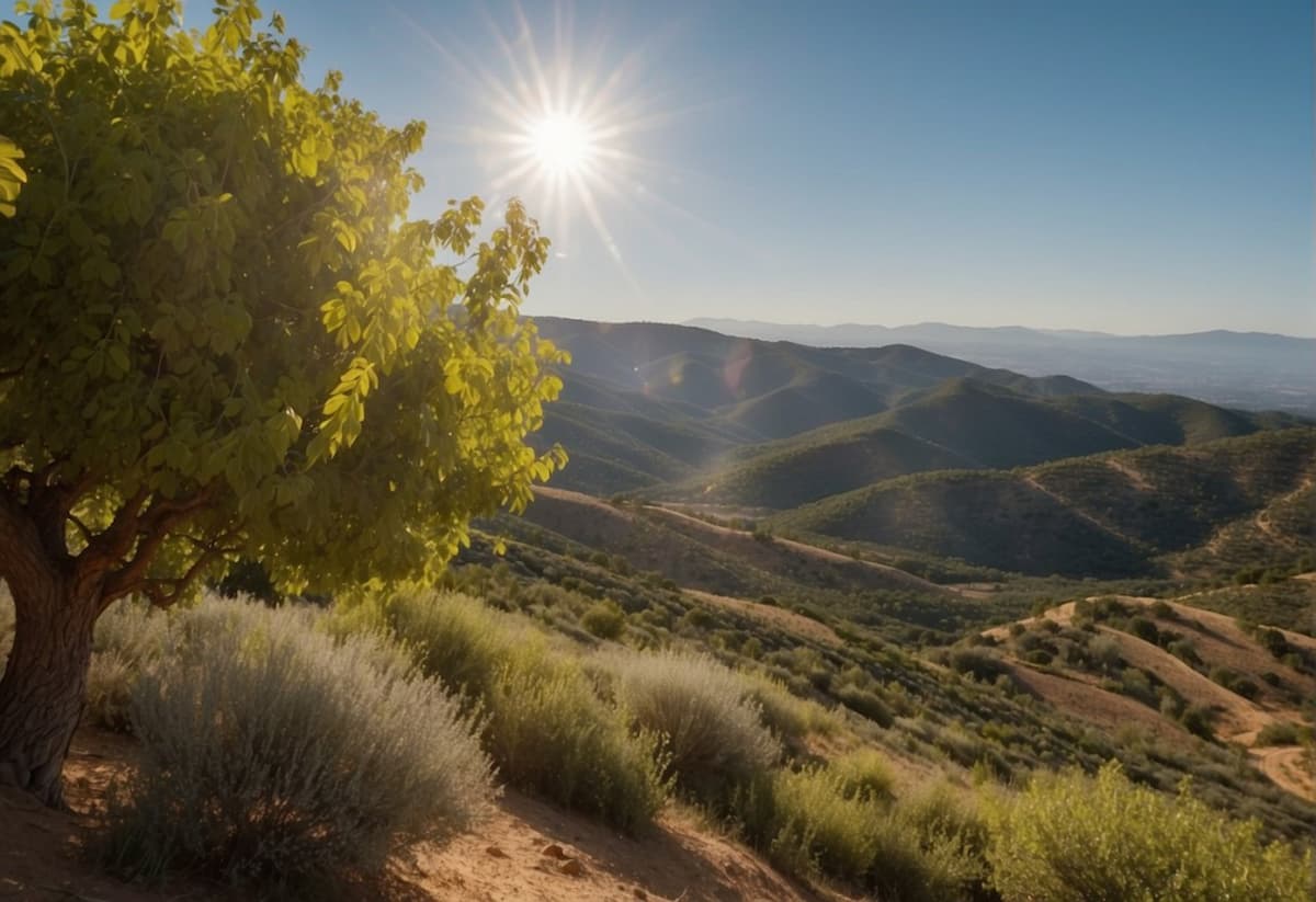How's The Barcelona Weather In May: Best Guide 2024